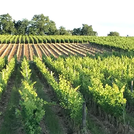 La Grange De L'abbe Rambaud