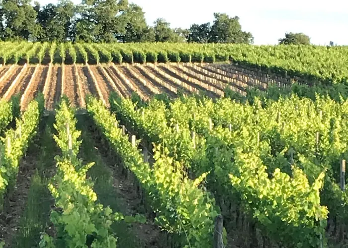 La Grange De L'abbe Rambaud